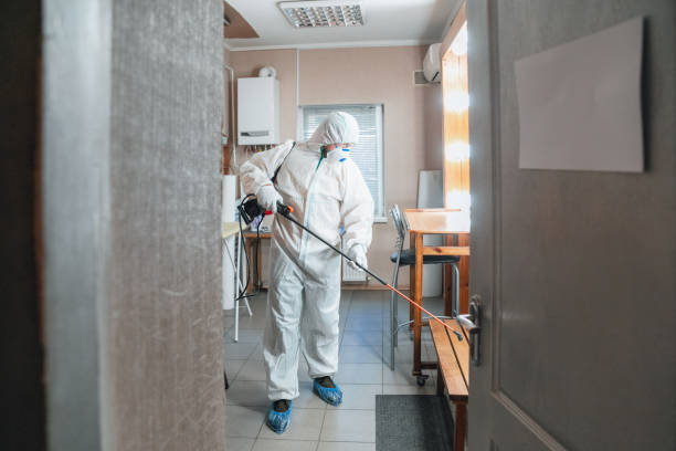 Best Crawl Space Mold Remediation  in Snead, AL