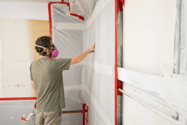 Best Comprehensive Air Testing for Mold Contaminants  in Snead, AL