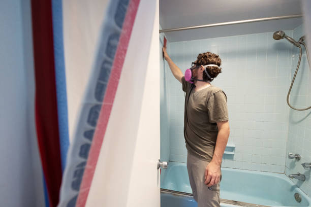 Snead, AL Mold Removal Company