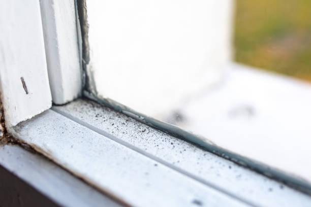 Best Residential Mold Inspection & Testing  in Snead, AL